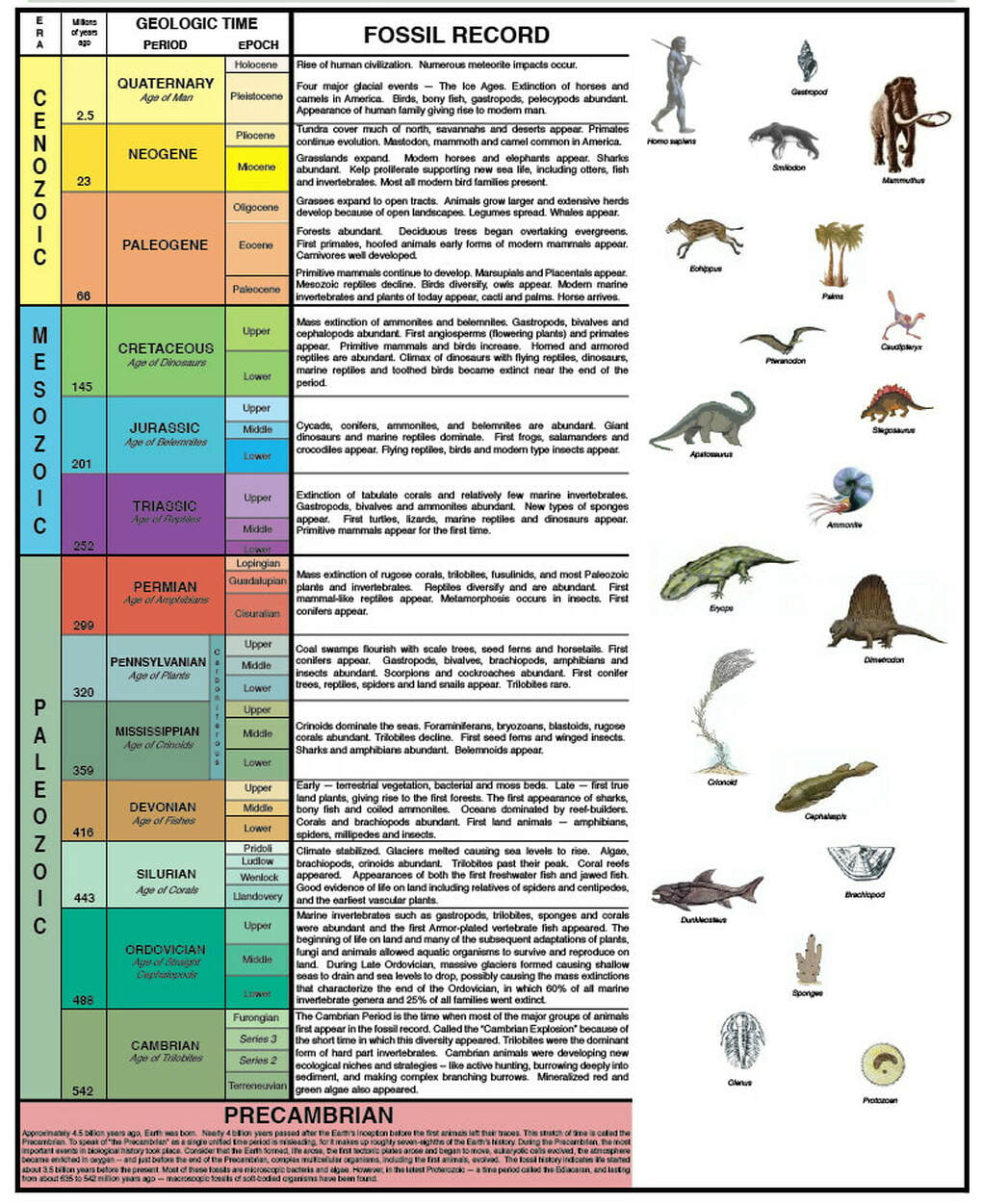 geologic-timeline-scale-vector-illustration-labeled-earth-history
