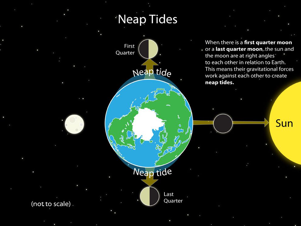 moon planet influence ocean tide graph
