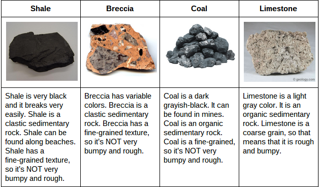 sedimentary rocks coal