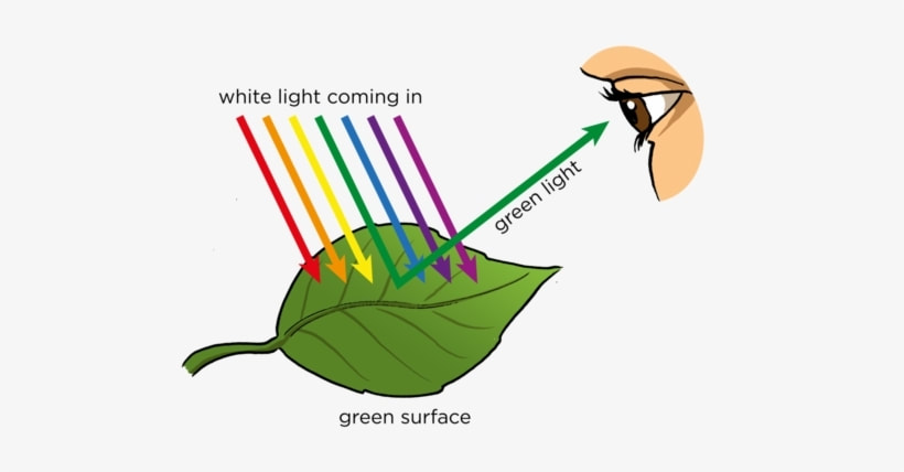 The science of color and light