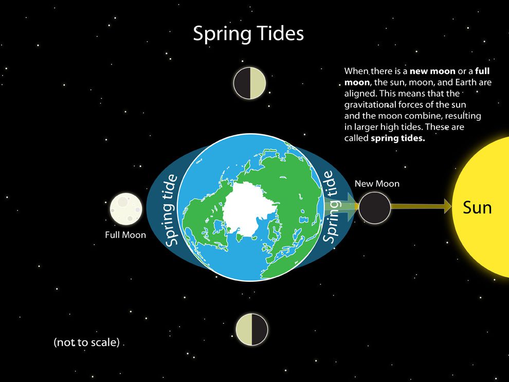 definition of spring tide